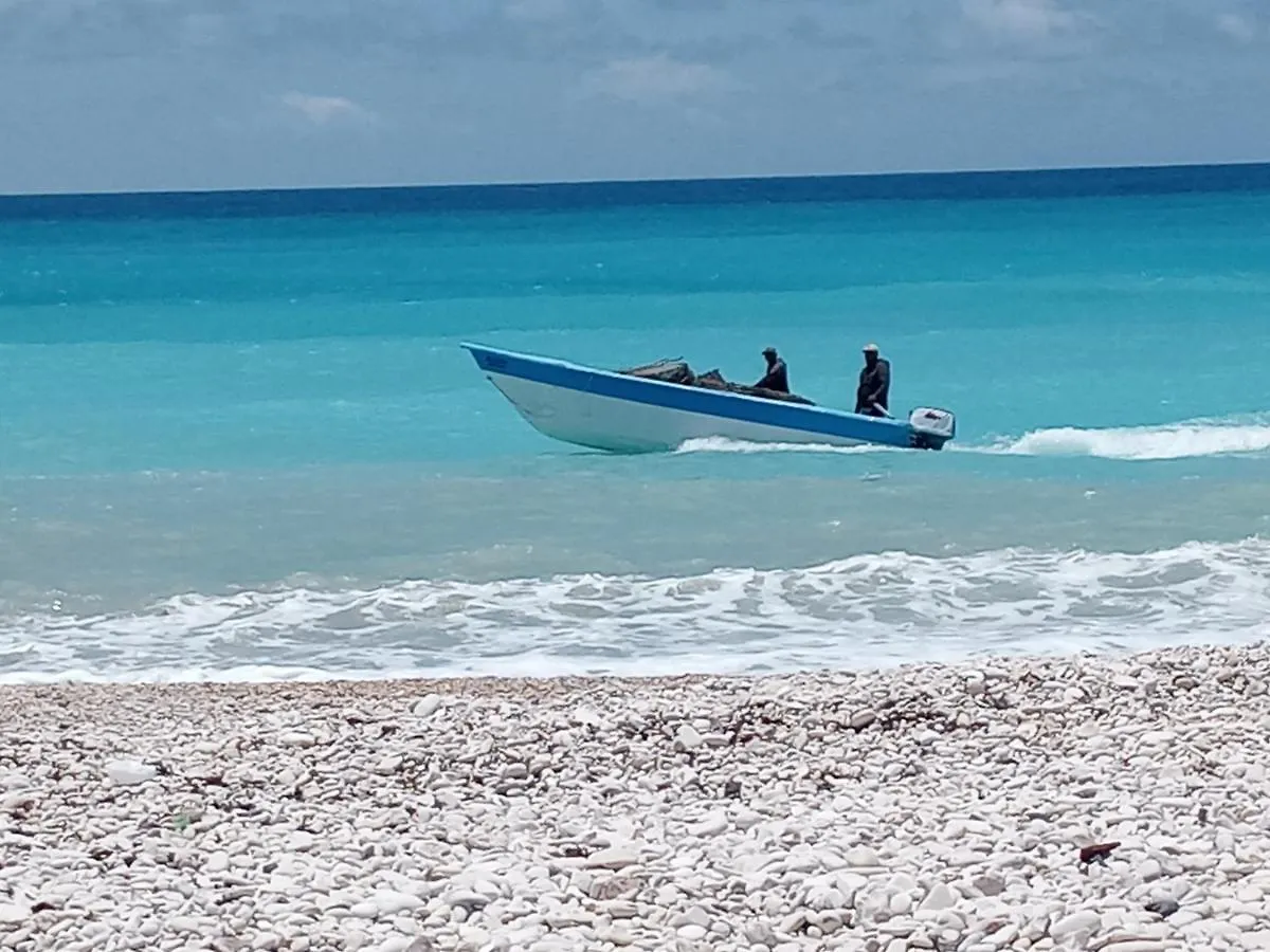 Beachfront Apartment, Quiet 4 Beds, 1 Bath, Ac, Wi-Fi, Hot Water, In Paraiso Near Los Patos 0*, Paraíso República Dominicana