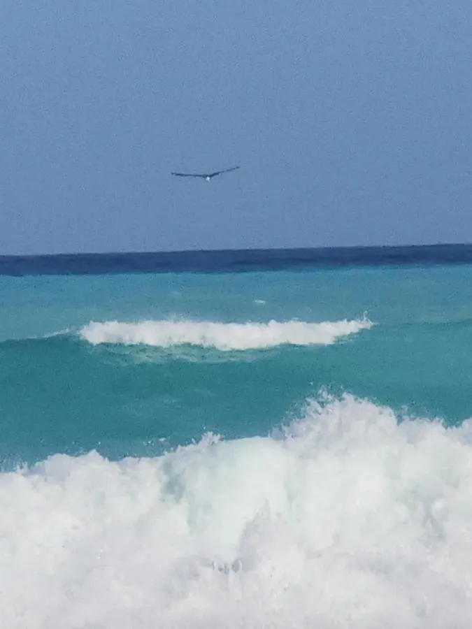 Apartamento Beachfront Apartment, Quiet 4 Beds, 1 Bath, Ac, Wi-Fi, Hot Water, In Paraiso Near Los Patos República Dominicana