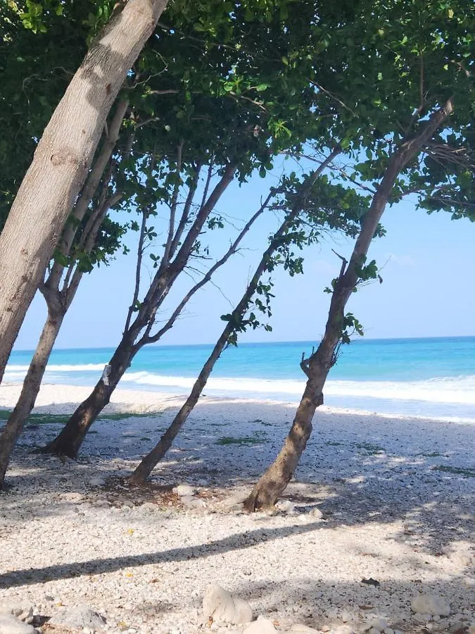 Beachfront Apartment, Quiet 4 Beds, 1 Bath, Ac, Wi-Fi, Hot Water, In Paraiso Near Los Patos